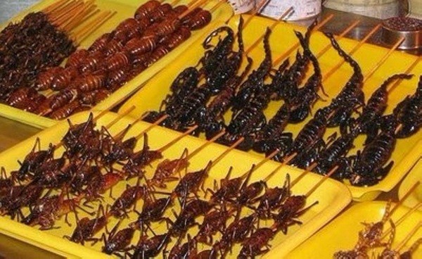 Trải nghiệm ở Chợ côn trùng Skun độc đáo khi du lịch Campuchia | địa điểm  du lịch